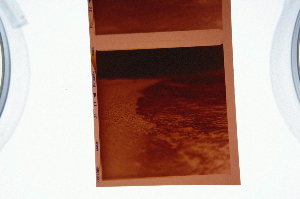 cinema & arte: [ENTREVISTA] Sobrevivente: Colman Domingo e a adaptação de Stephen King.