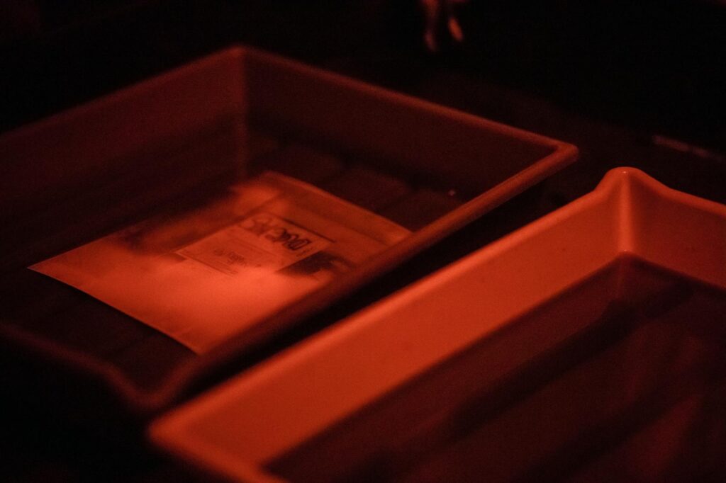 cinema & arte: Alienígenas: Novo filme de Spielberg com Emily Blunt e Josh O’Connor.