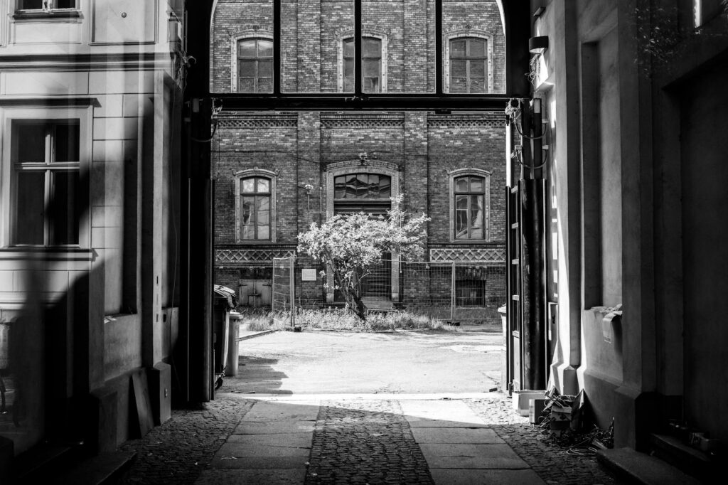 cinema & arte: Gilberto Gil: Música com suingue que supera batidas de Alok.