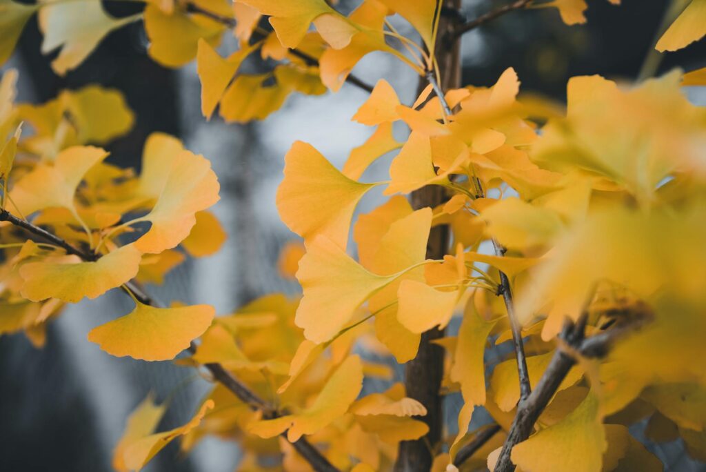 política nacional: Ameaçada em SP, Enel apela a políticos por contrato: ação crucial.