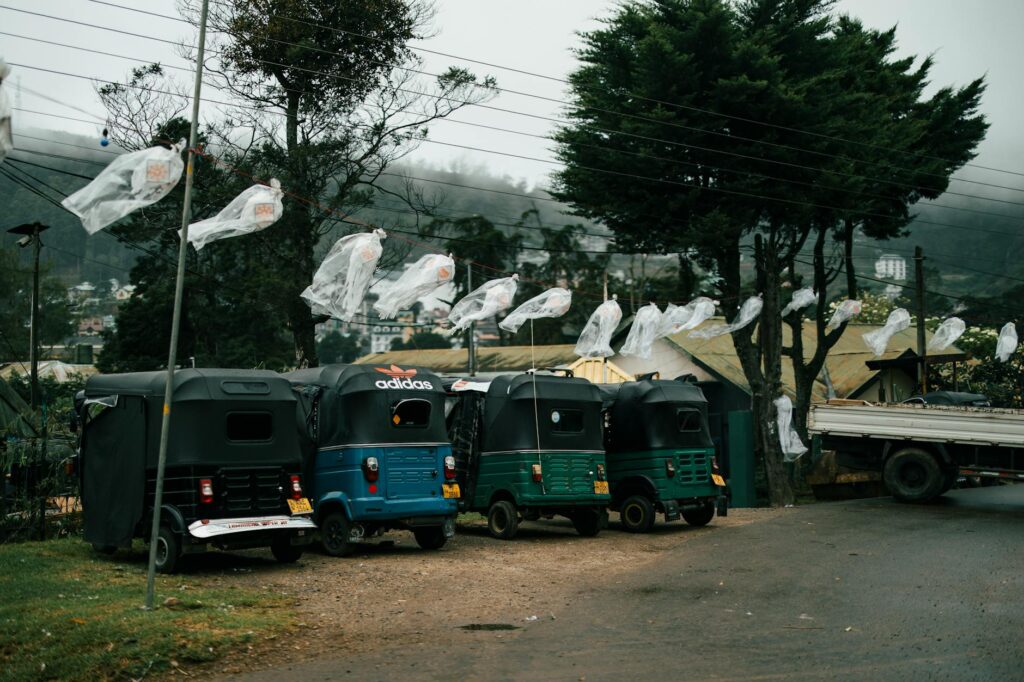 política nacional: Bolsonaro: ‘Trans de direita’ mira 2026, segue apesar de críticas.