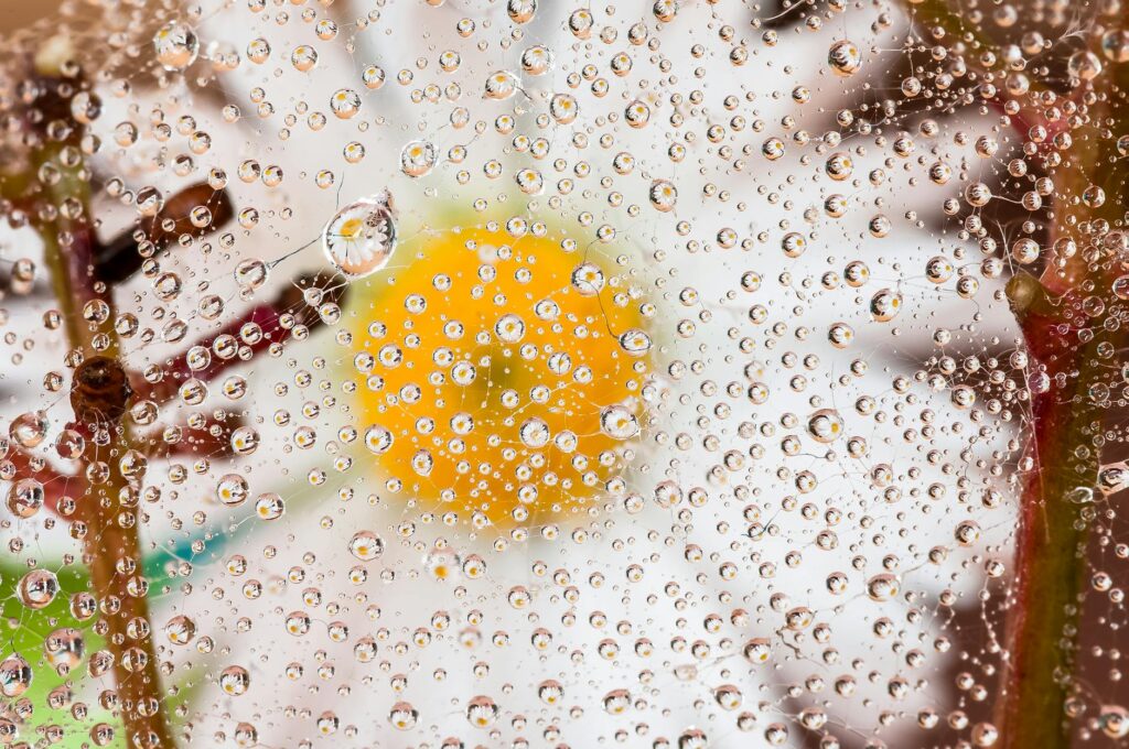 política nacional: Enel prevê longa disputa pela concessão em SP sem abrir mão.