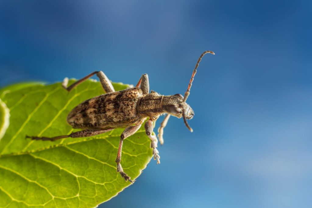 política nacional: Ministro do Turismo é empossado por Lula em movimento estratégico.