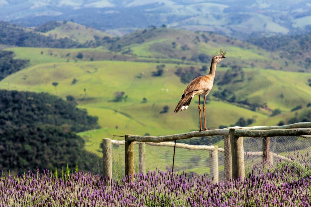 transporte & mobilidade: Bilhete Único: Sistemas saem do ar sexta e sábado para manutenção.