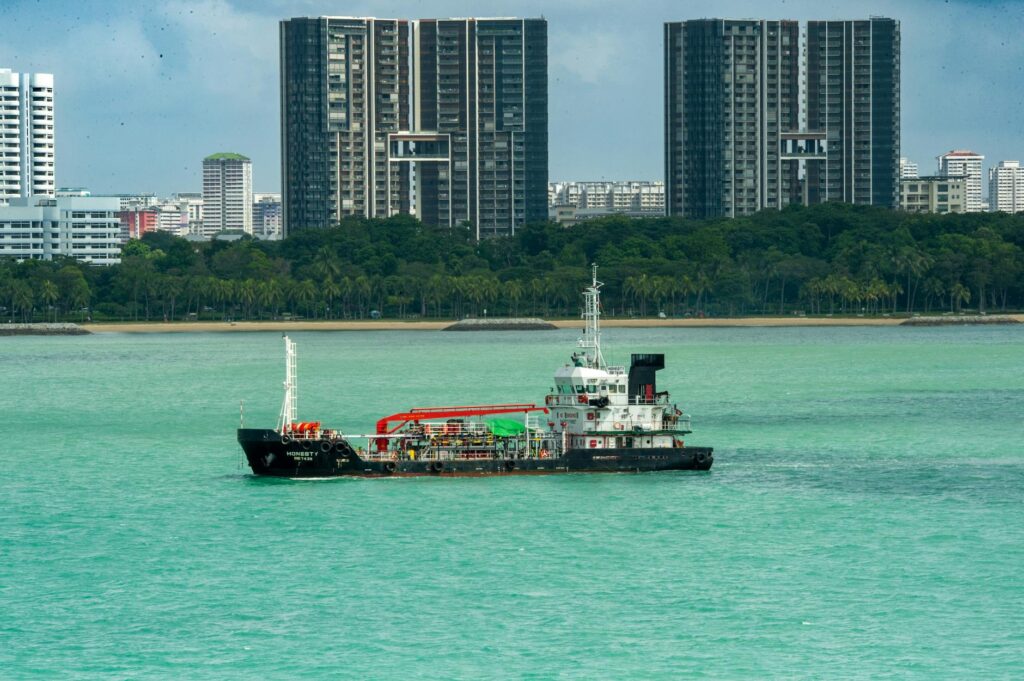 transporte & mobilidade: Ônibus: Gratuidade no Natal e fim de ano em SP.