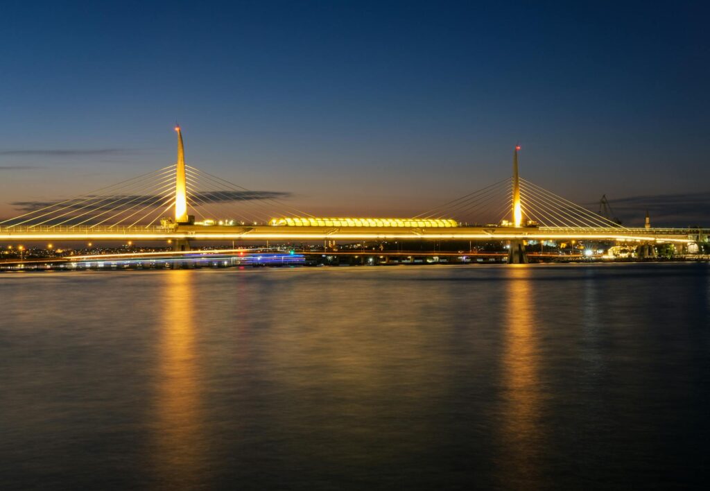 Peixes mortos: Avistamento na represa Billings em São Paulo. transporte & mobilidade: Peixes mortos: Avistamento na represa Billings em São Paulo.
