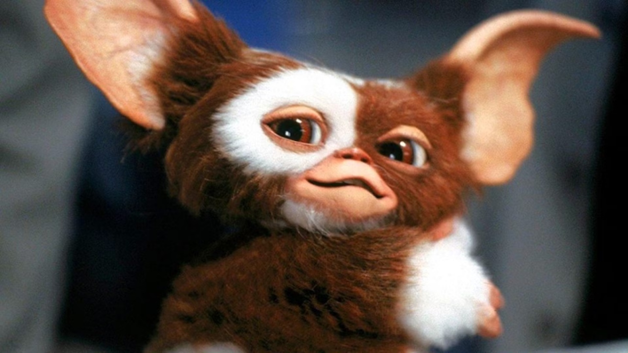 Warner confirma: Gremlins 3 tem data de estreia definida. Cinema & Arte