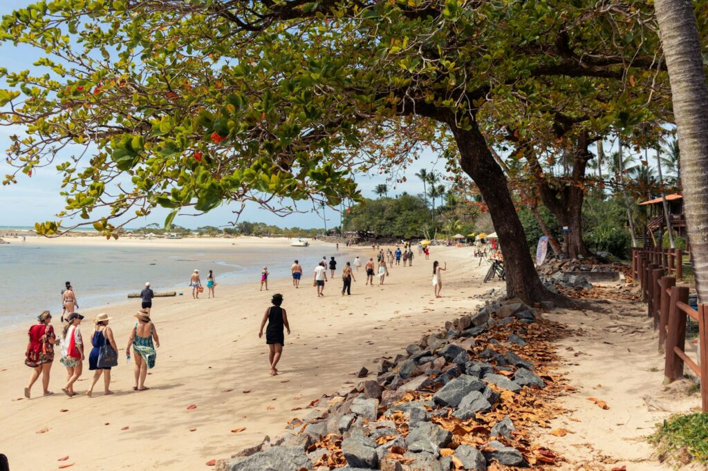 cinema & arte: Gilberto Gil embasa musical de teatro com inspiração em ‘Domingo no parque’.