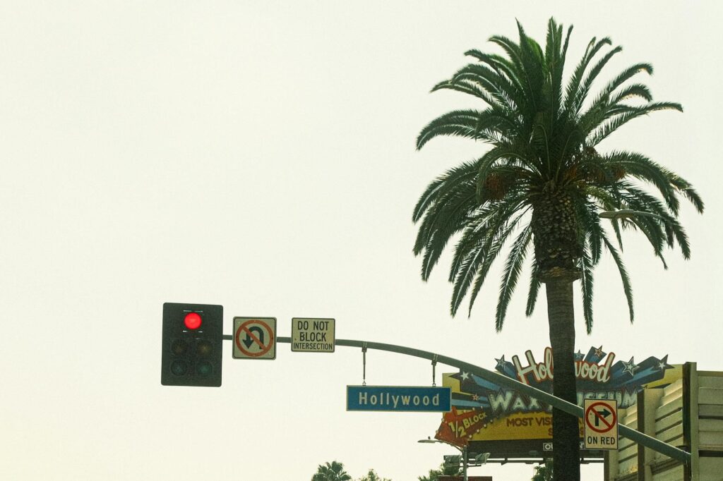 cinema & arte: Produções brasileiras: Brasil é pop no cenário internacional em 2026.