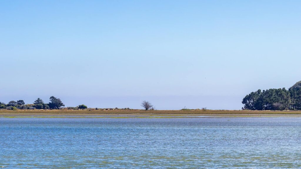 política nacional: Parlamentares detêm 90% das propostas aprovadas no Senado, revela estudo.