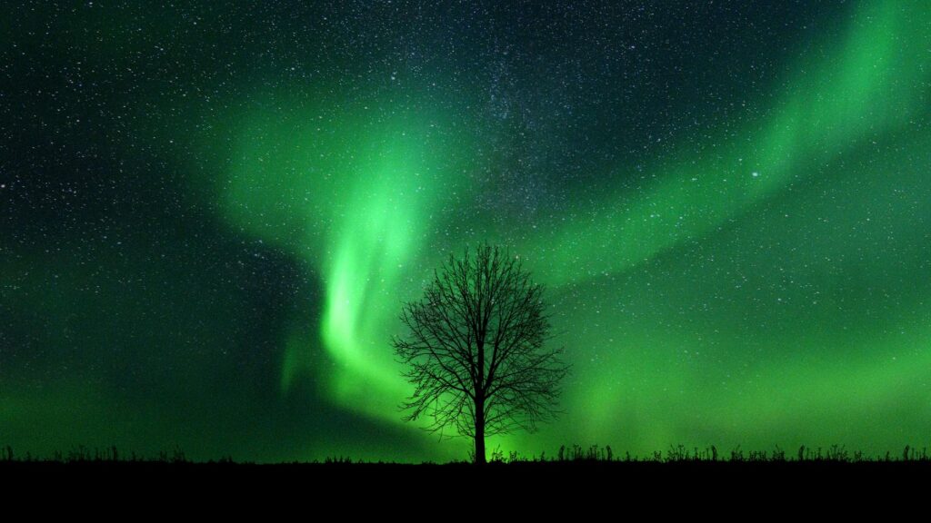 política nacional: Veja: Quem é quem no caso Banco Master e papel de cada instituição.